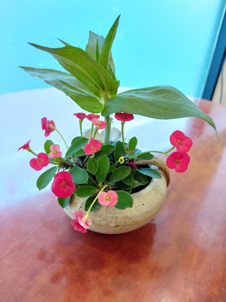 어머니 손길이 여기 저기 수북수북