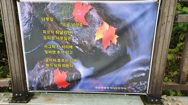 청풍명월정격시조문학회 -제천 의림지 데크길-(사진 제공:대구 이상원)