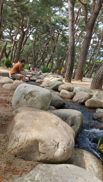 -솔밭공원- 시민들 새로운 휴식처로 자리잡다.