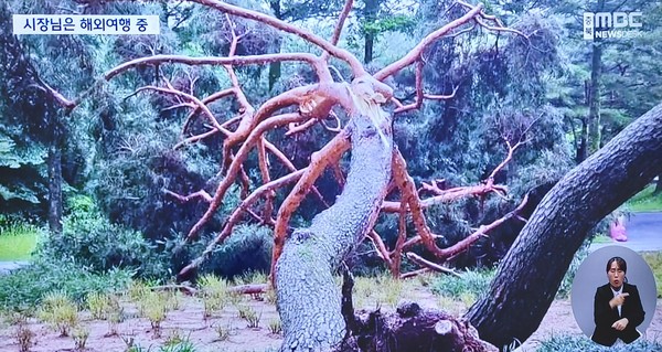 mbc 충북뉴스 화면 갈무리(7/10)