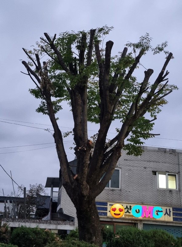사진 자료: 맑은하늘 푸른제천 시민운동 이상학 대표