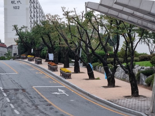 사진 자료: 맑은하늘 푸른제천 시민운동 이상학 대표