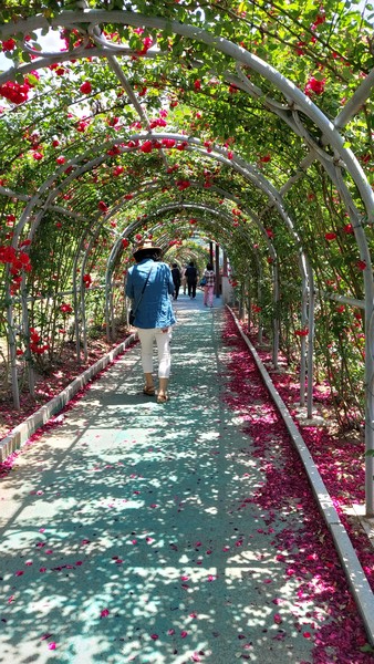 방송대 국문학 동문 야유회 ()