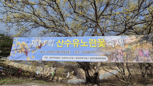 제천시 수산면 상천리 산수유 축제 현장