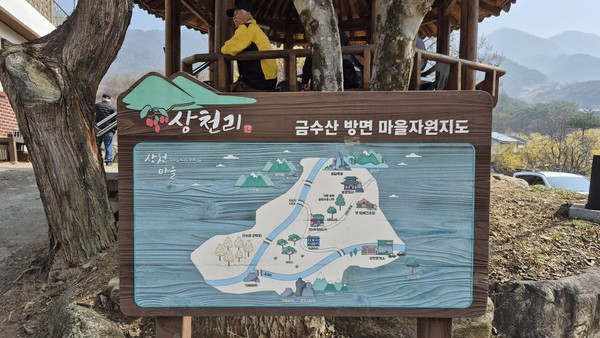 제천시 수산면 상천리 산수유 축제 현장