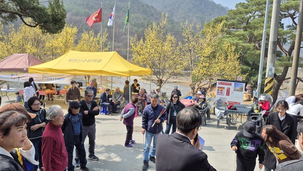 제천시 수산면 상천리 산수유 축제 현장