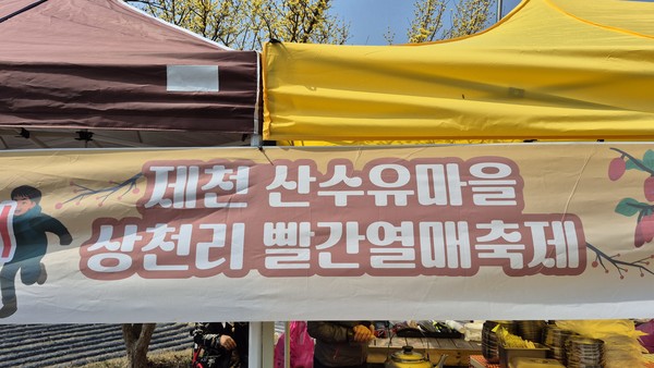 제천시 수산면 상천리 산수유 축제 현장